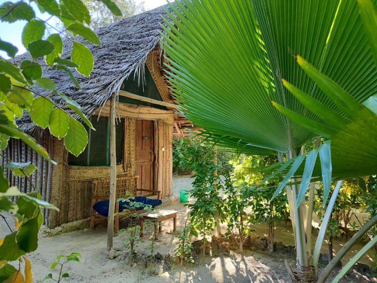 Your Zanzibar Place Paje Exterior photo
