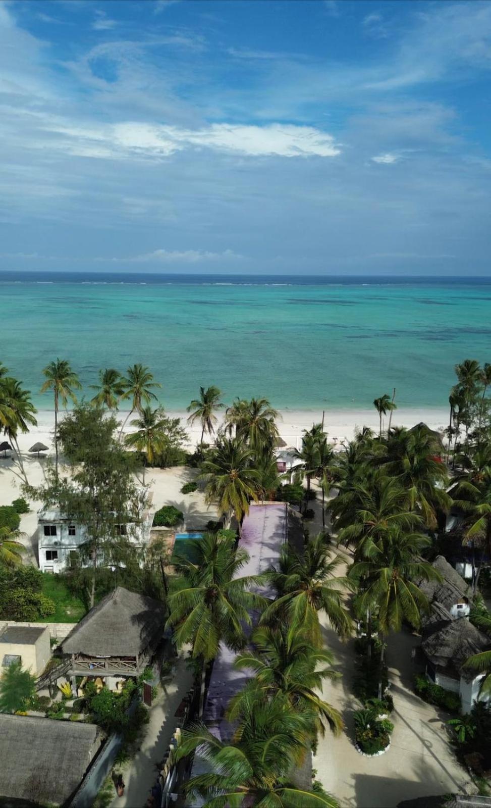 Your Zanzibar Place Paje Exterior photo